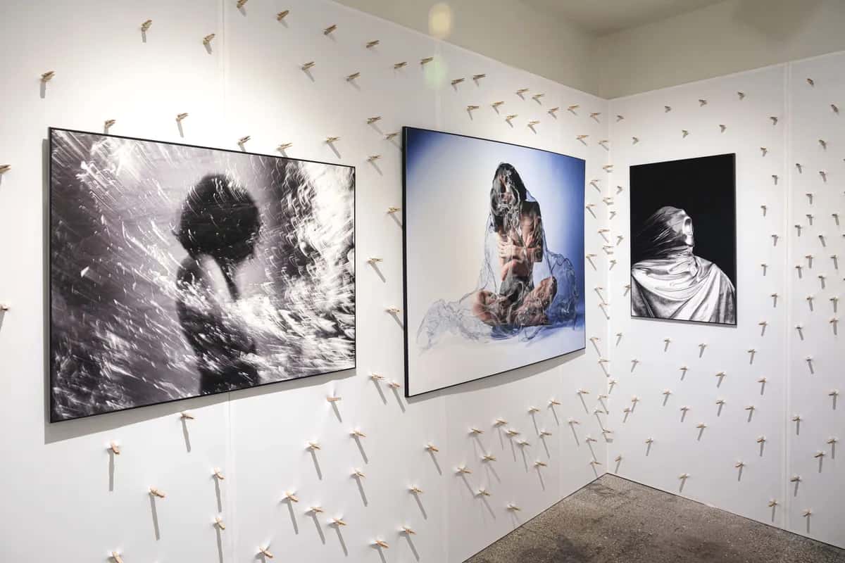 Gallery image 7