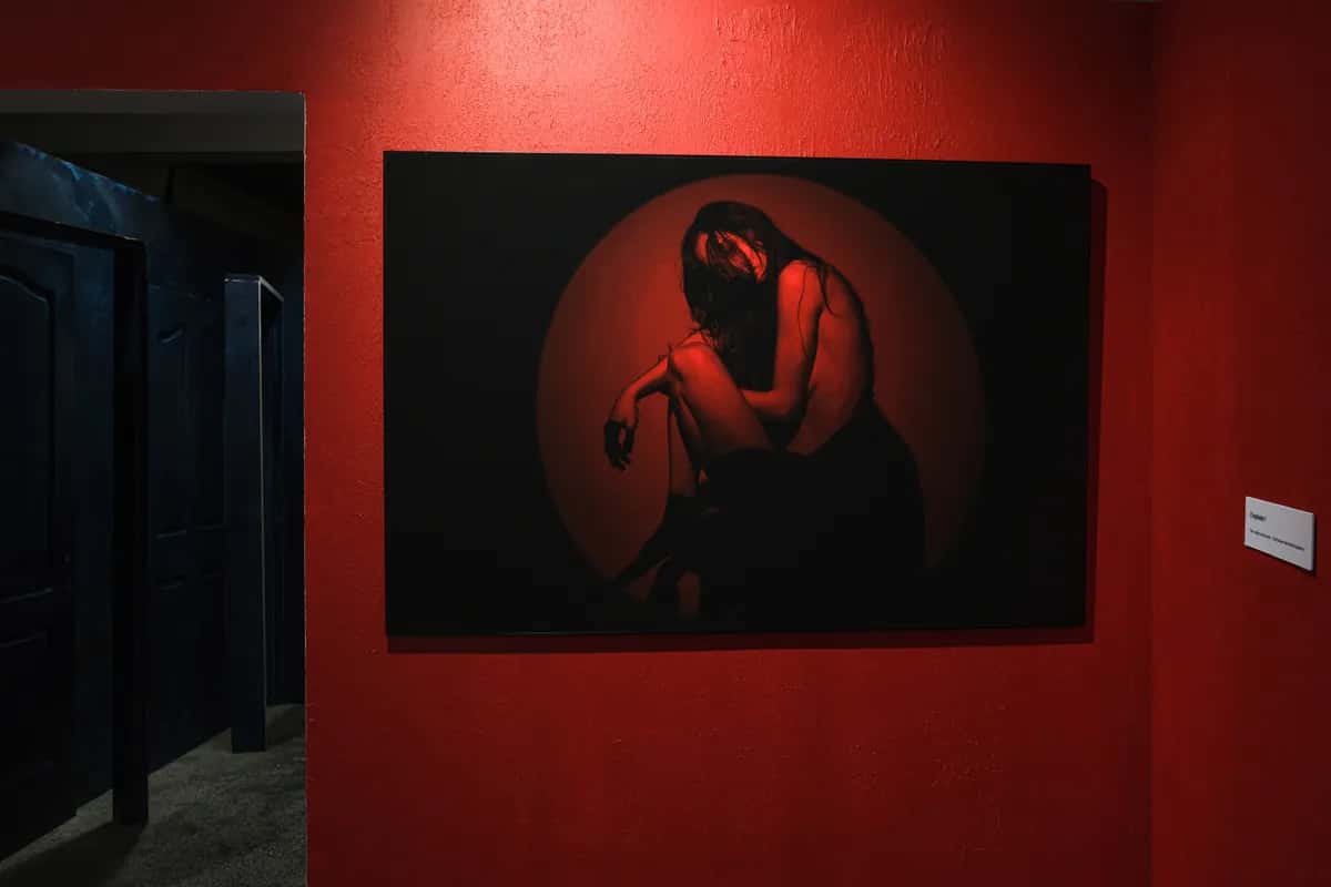 Gallery image 19