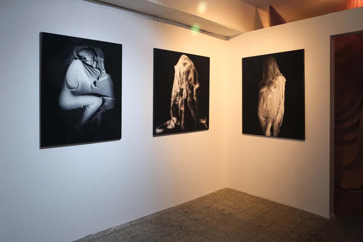 Gallery image 26