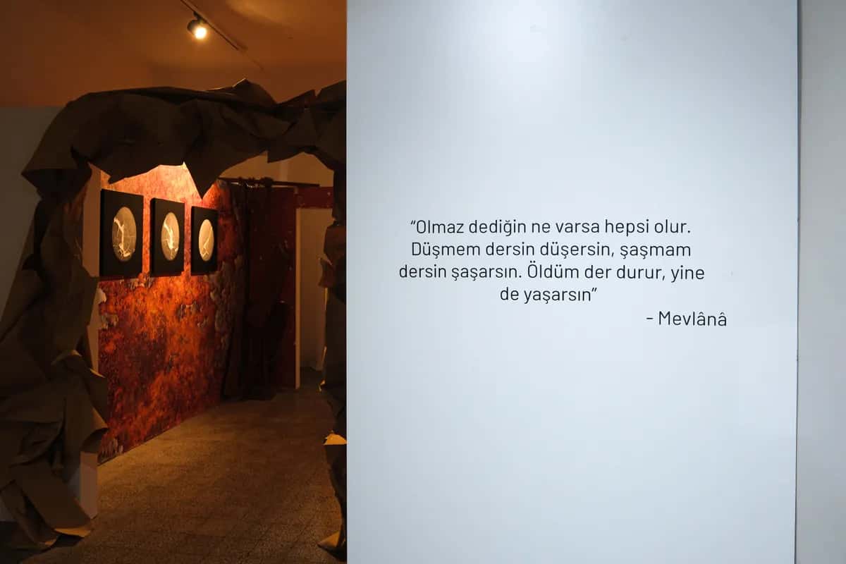Gallery image 32