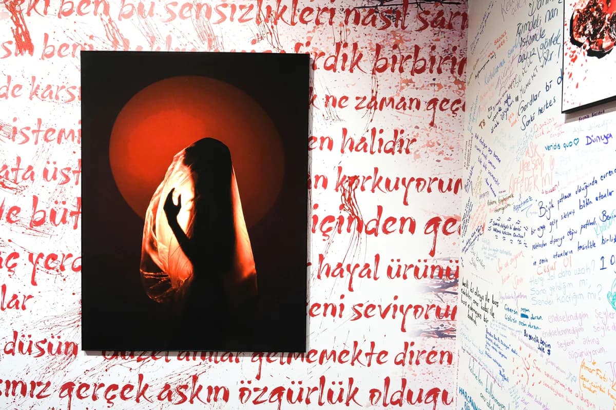 Gallery image 58