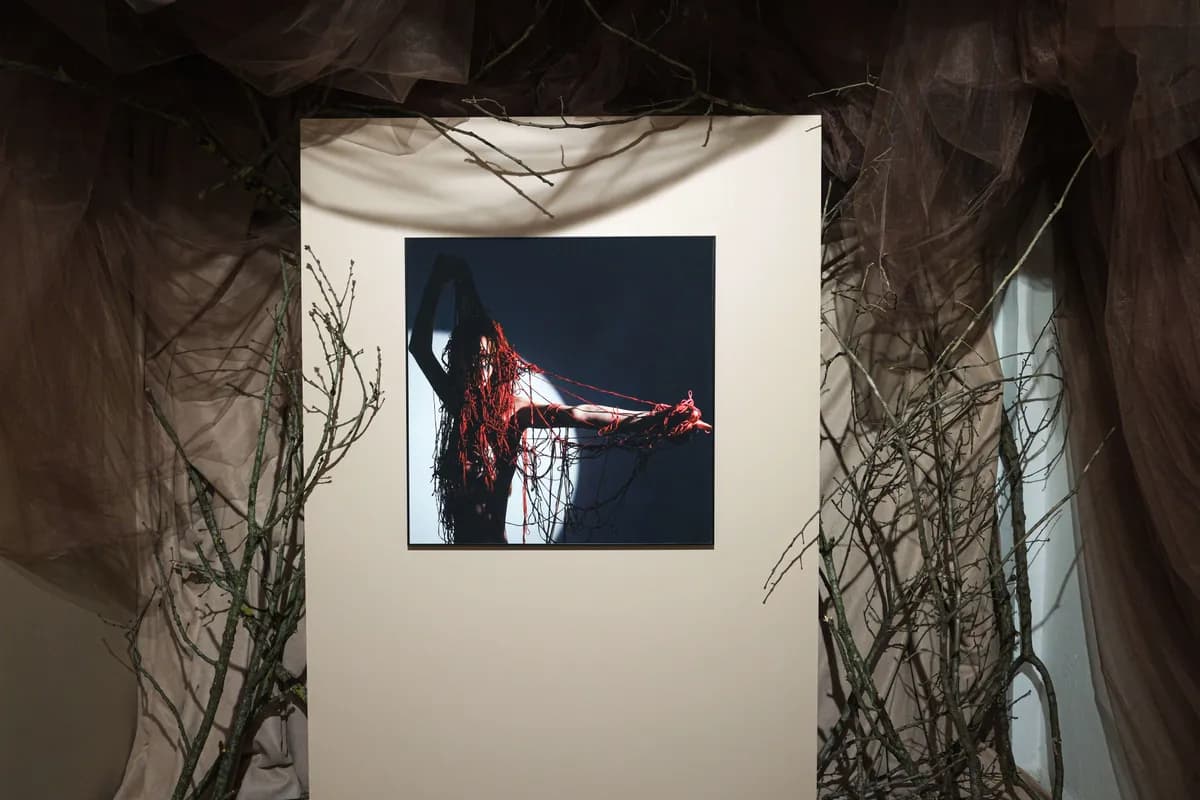 Gallery image 62