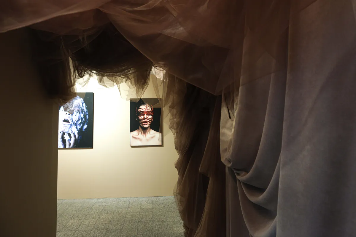 Gallery image 65