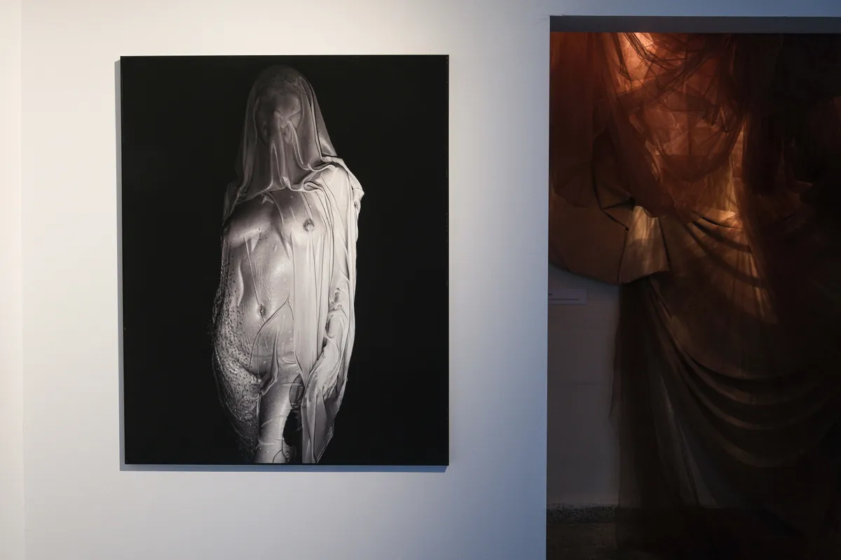 Gallery image 68