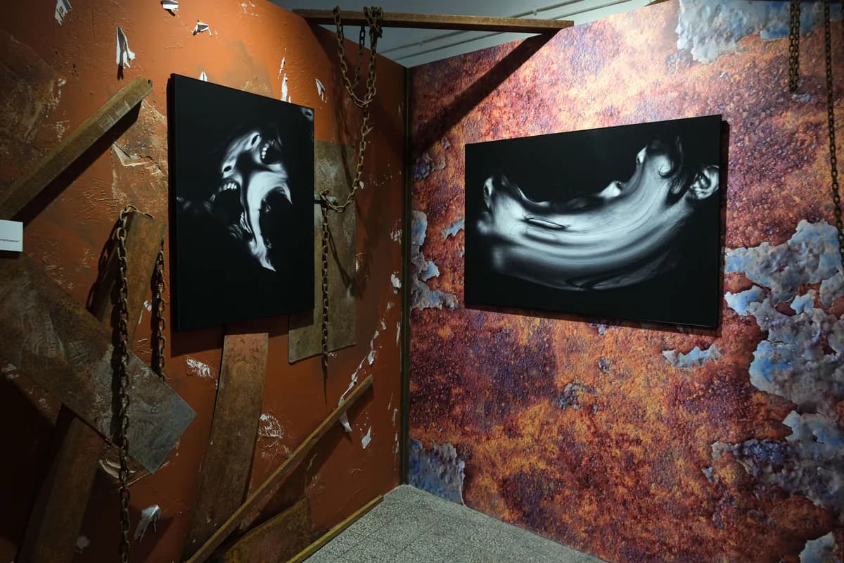Gallery image 72
