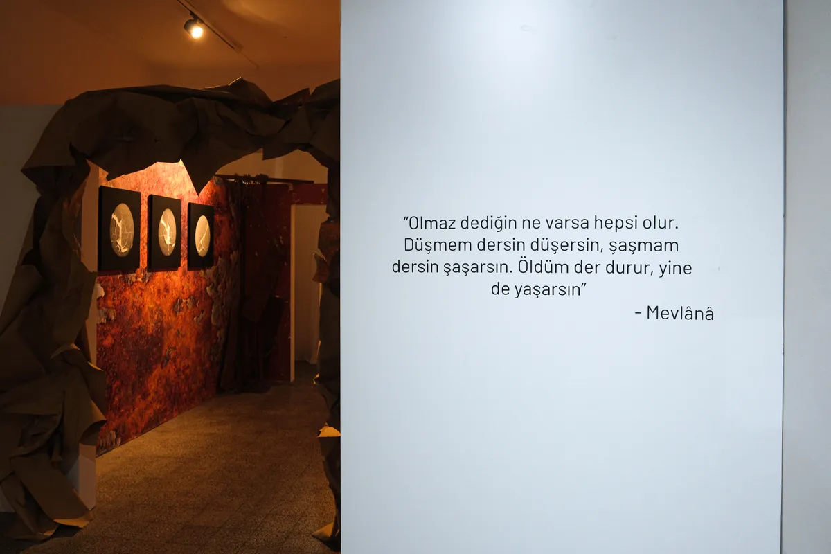 Gallery image 73