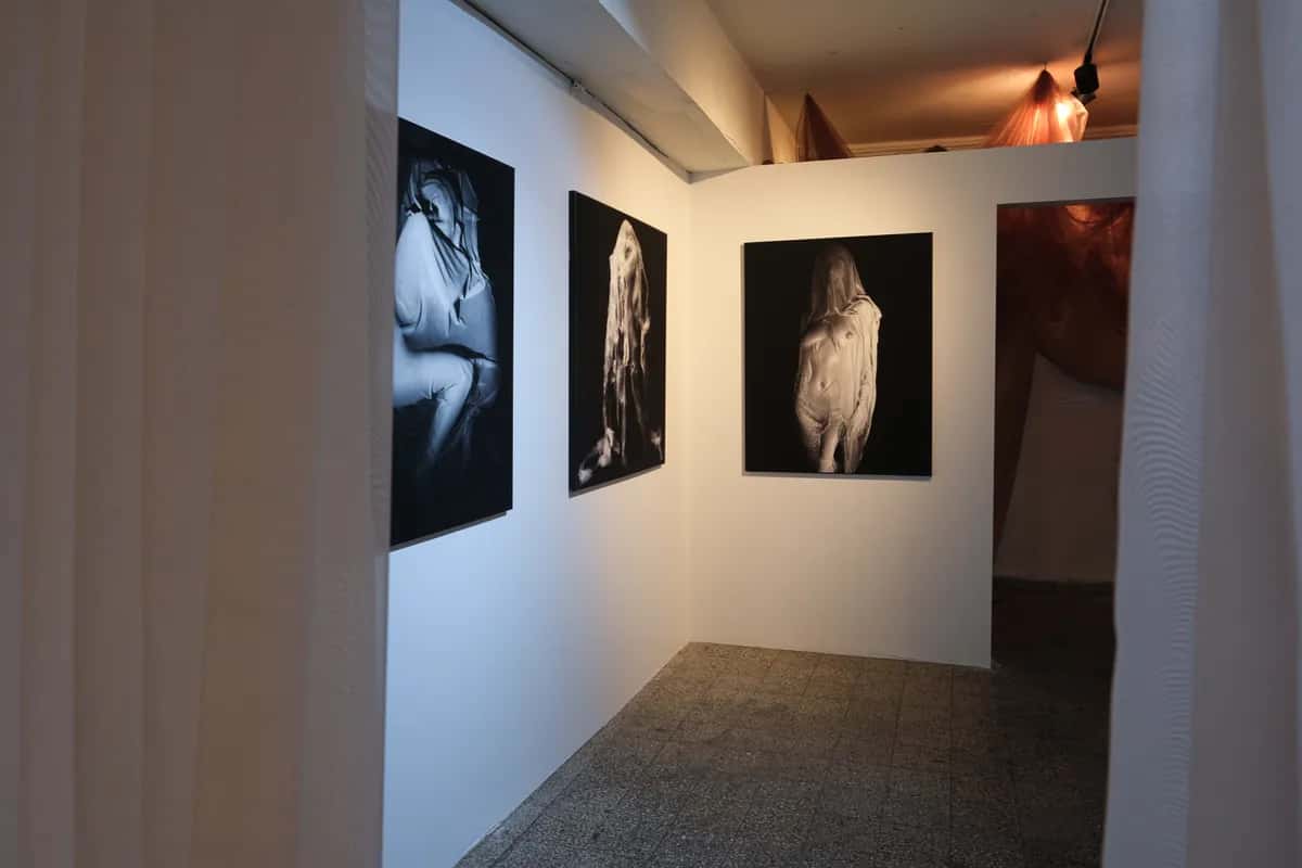 Gallery preview 2